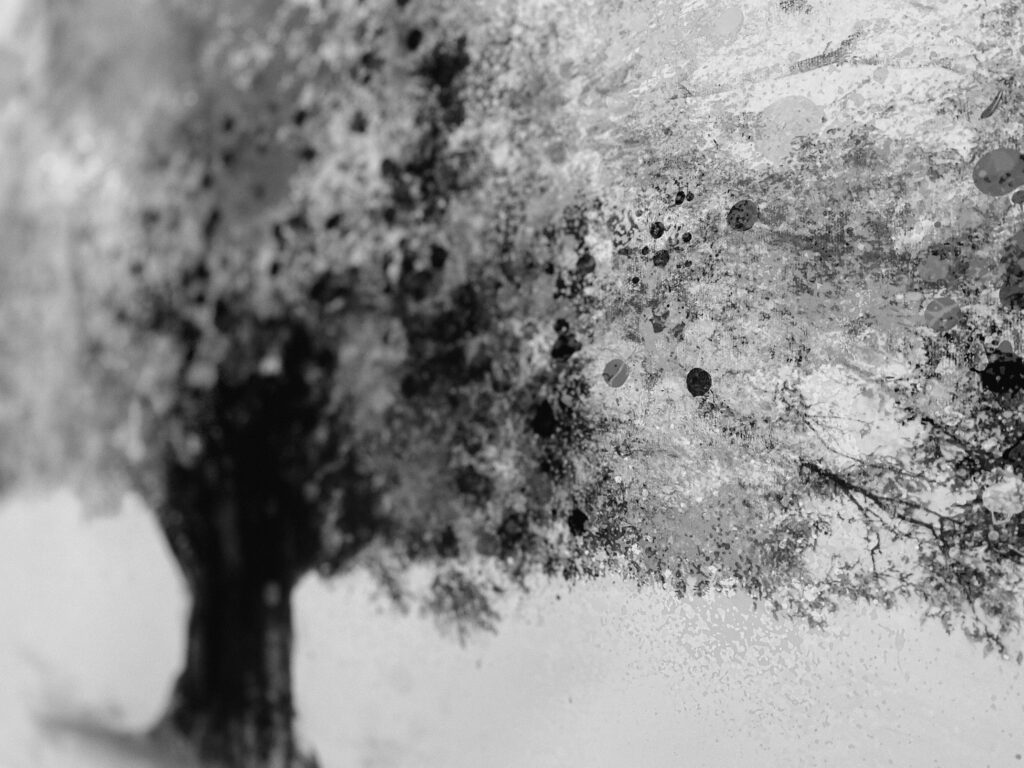 Schwarz-weißer Baum als Symbol für Hoffnung und Neubeginn bei Depression und Suizidalität | Psychotherapie Mag. Astrid Oppenheim in 1140 Wien | Ursachen, Symptome und Therapiemöglichkeiten